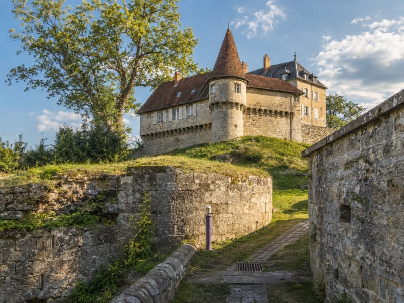 Donjon et bâtiments du château de Rupt-sur-Saône au-dessus de la vallée