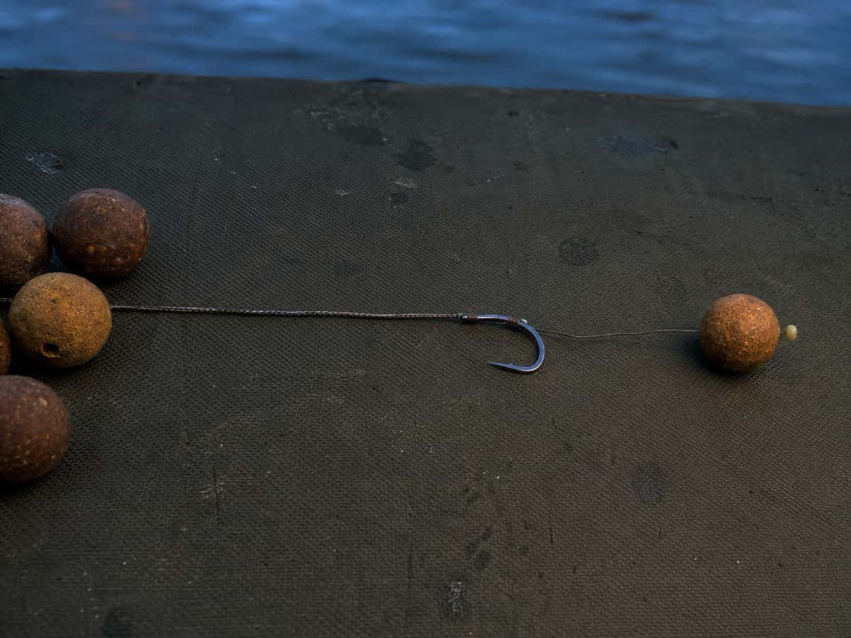 Bouillettes et montage au cheveu préparés pour la pêche de la carpe