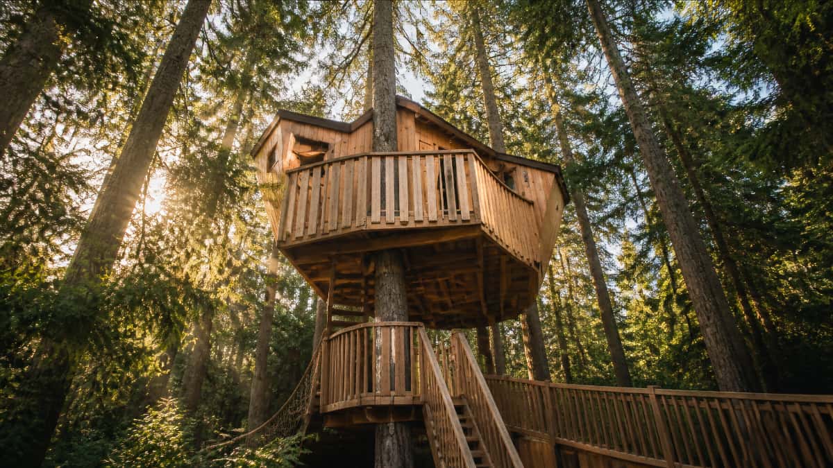 Cabane perchée du village des cabanes perchées, au bord du lac des Sapins à Cublize