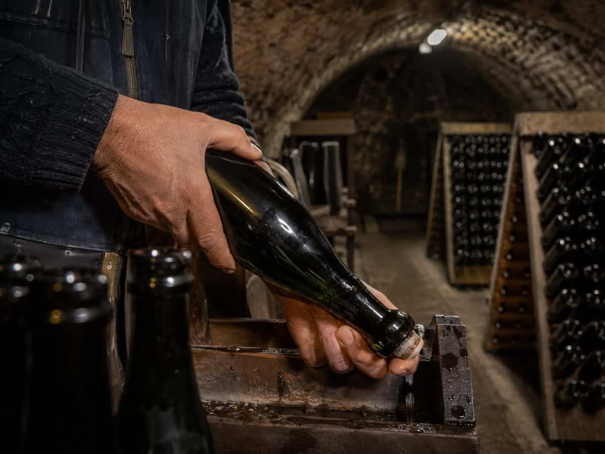 Dégustation d'un verre de crémant de Bourgogne face aux coteaux de la Côte chalonnaise