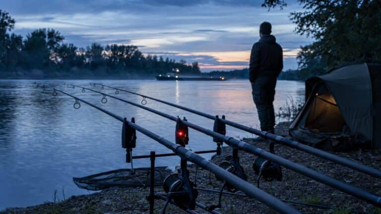 Pêche de nuit à la carpe sur la Saône : règles et matériel