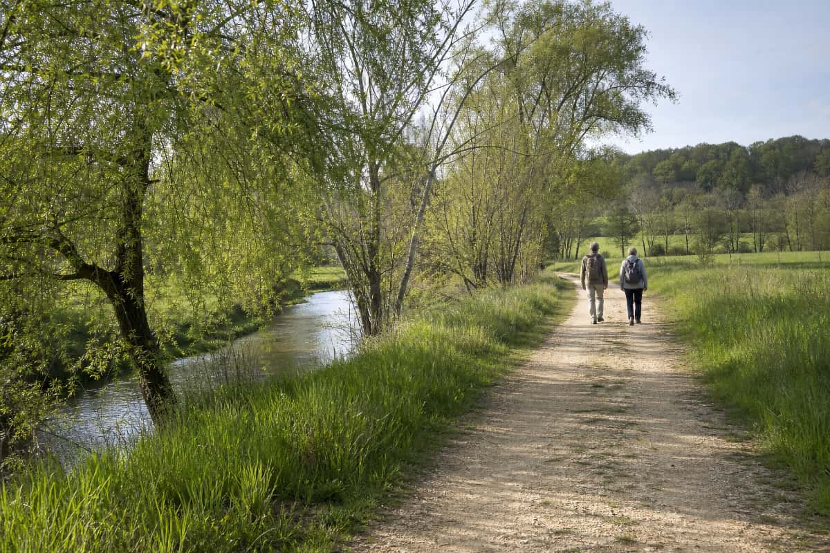 Promenade près de Faverney entre prairie, chemin et rivière