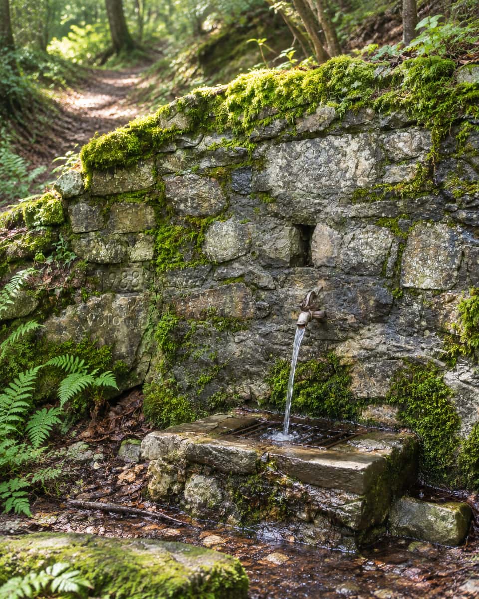 Source du Saint-Rigaud dans la forêt, fontaine en pierre recouverte de mousse