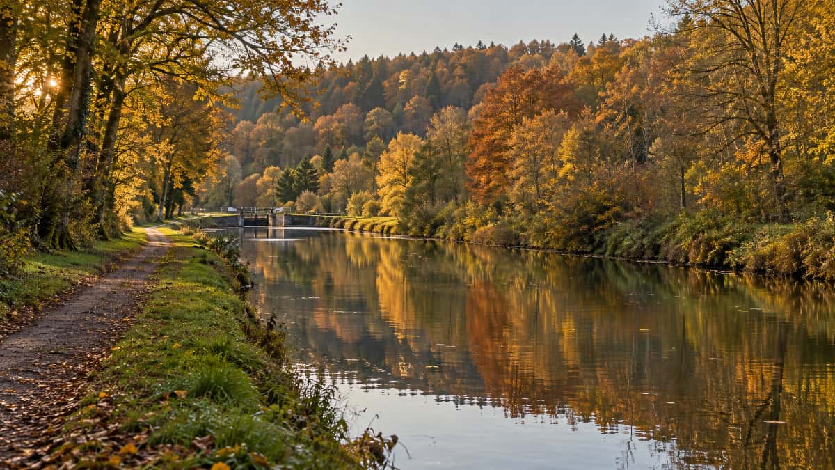 Canal des Vosges bordé d’arbres aux couleurs d’automne