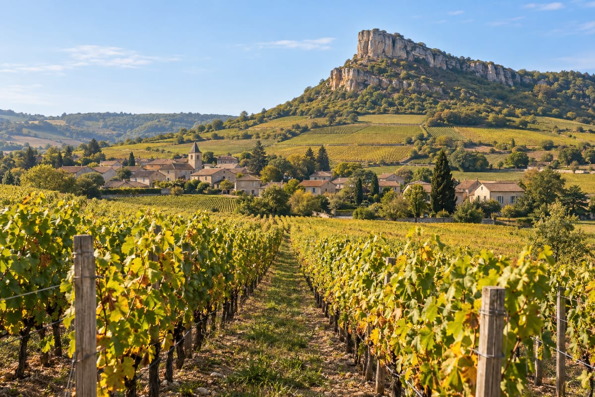 Vignobles du Mâconnais au pied de falaises calcaires près de Solutré